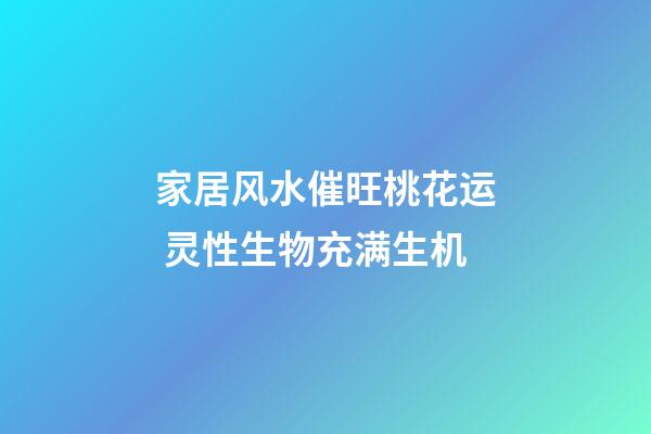 家居风水催旺桃花运 灵性生物充满生机